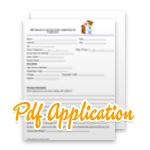 Pdf Application